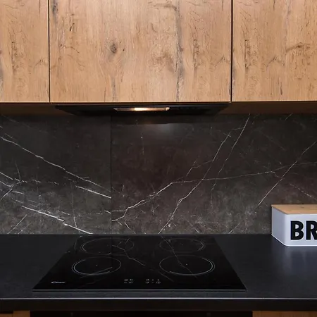 Jagielonska 1/3 Appartement Gliwice