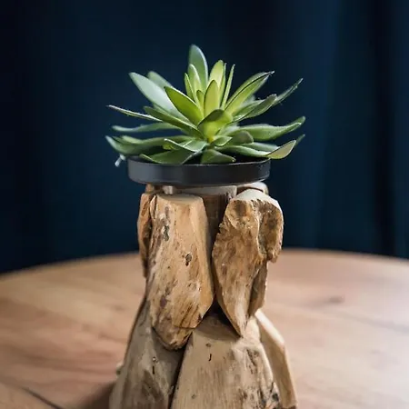 Jagielonska 1/3 Appartement