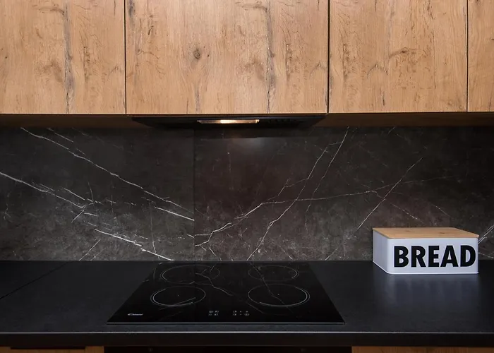 Jagielonska 1/3 Διαμέρισμα Γκλίβιτσε