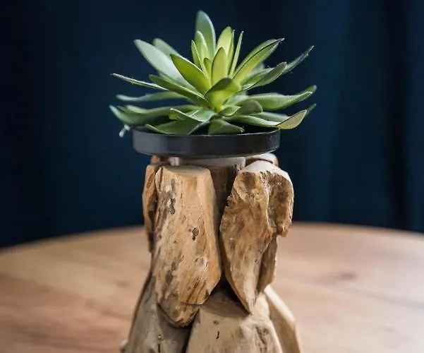 Jagielonska 1/3 Διαμέρισμα